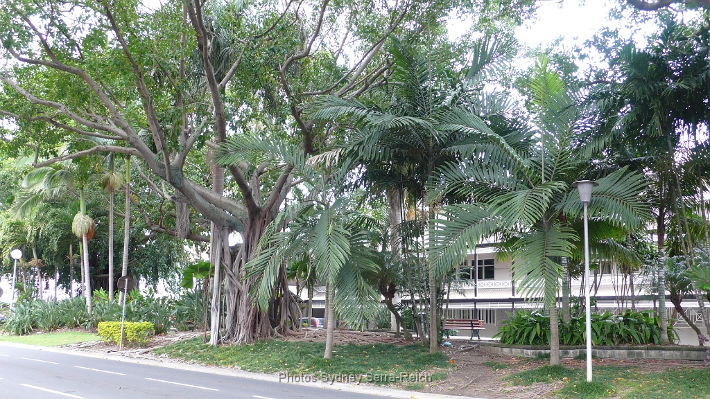 Noumea 3.JPG - Nouméa. Août 2014